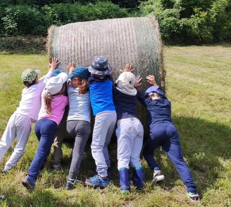 IL SOFFIONE COPERTINA SITO