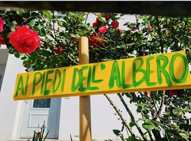 AI PIEDI DELL_ALBERO FOTO COPERTINA