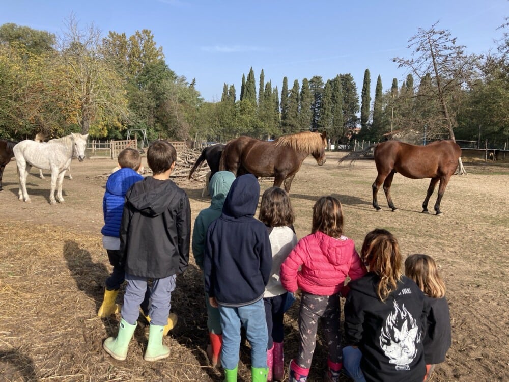 Copertina-Scuola-itinerante
